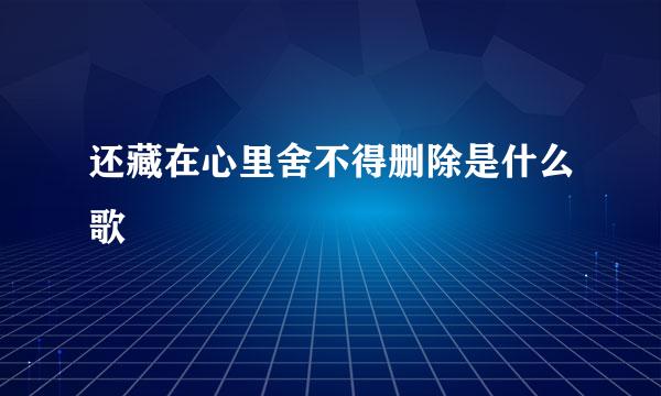 还藏在心里舍不得删除是什么歌
