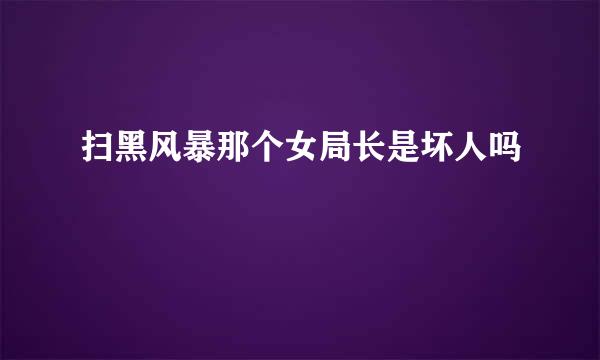 扫黑风暴那个女局长是坏人吗