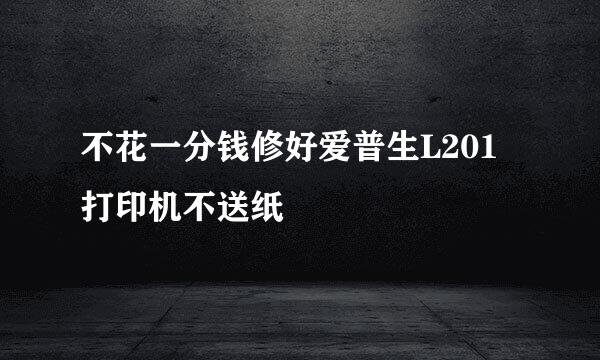 不花一分钱修好爱普生L201打印机不送纸