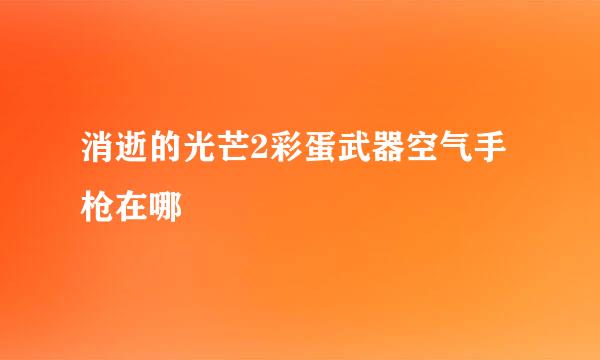 消逝的光芒2彩蛋武器空气手枪在哪