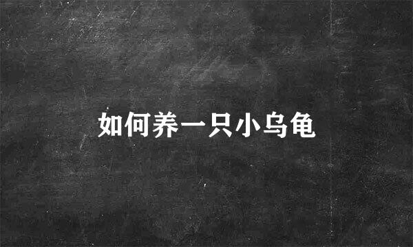 如何养一只小乌龟