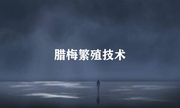 腊梅繁殖技术