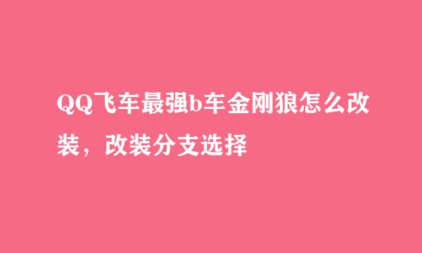 QQ飞车最强b车金刚狼怎么改装，改装分支选择