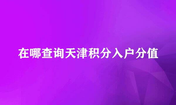 在哪查询天津积分入户分值