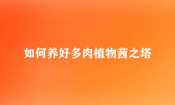 如何养好多肉植物茜之塔