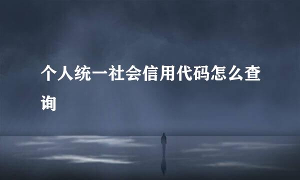 个人统一社会信用代码怎么查询