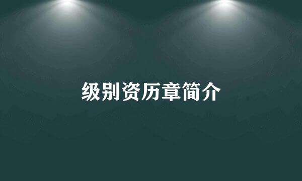 级别资历章简介