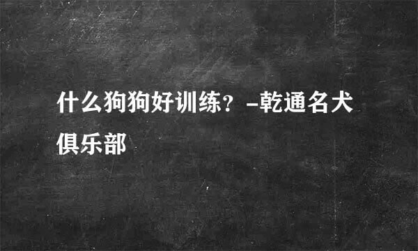 什么狗狗好训练？-乾通名犬俱乐部