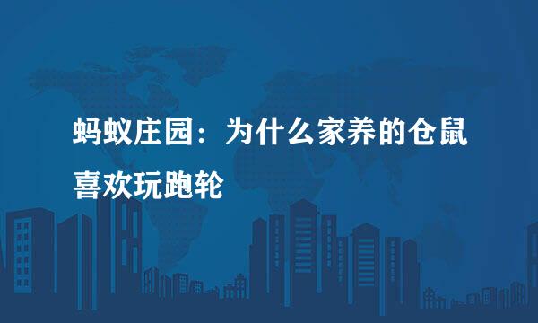蚂蚁庄园：为什么家养的仓鼠喜欢玩跑轮