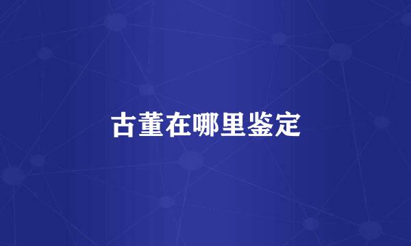 古董在哪里鉴定