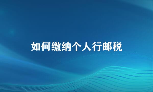 如何缴纳个人行邮税