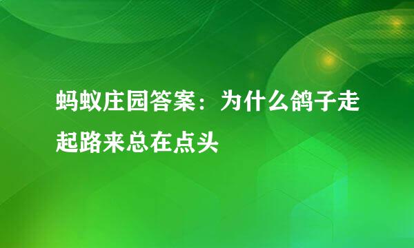 蚂蚁庄园答案：为什么鸽子走起路来总在点头