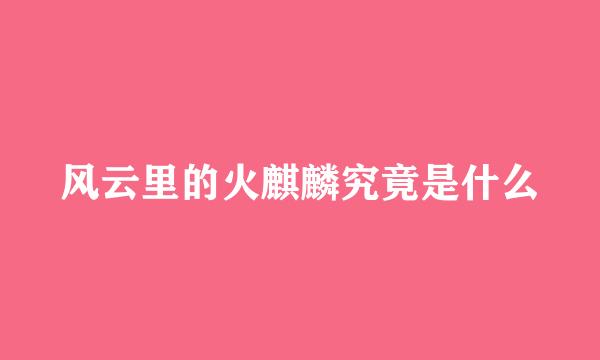 风云里的火麒麟究竟是什么