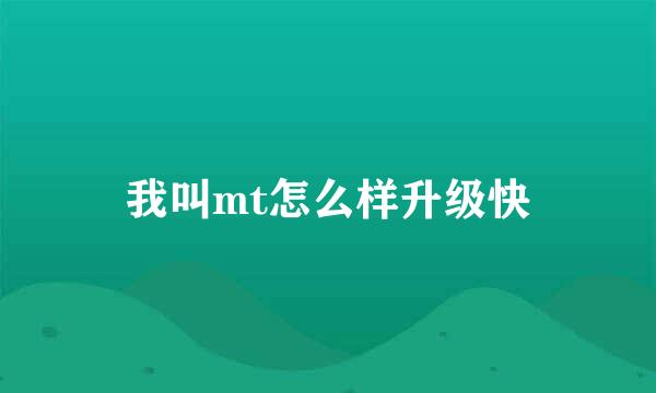 我叫mt怎么样升级快