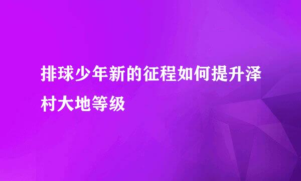 排球少年新的征程如何提升泽村大地等级
