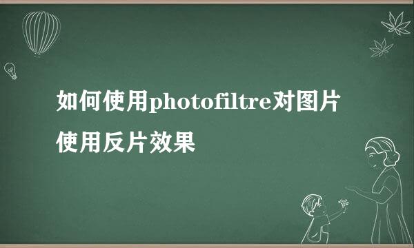 如何使用photofiltre对图片使用反片效果