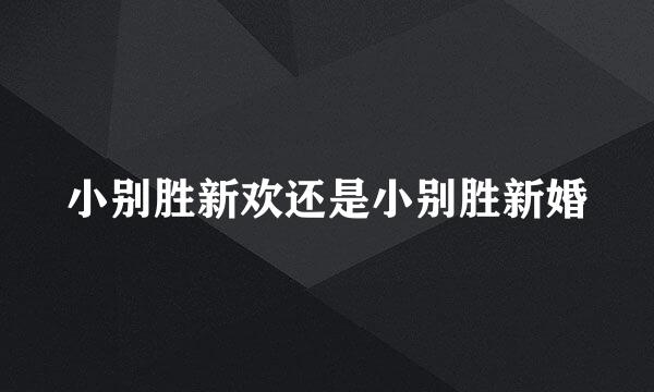 小别胜新欢还是小别胜新婚