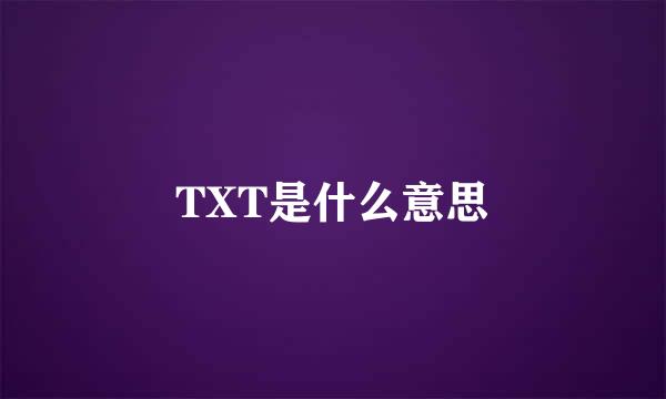 TXT是什么意思