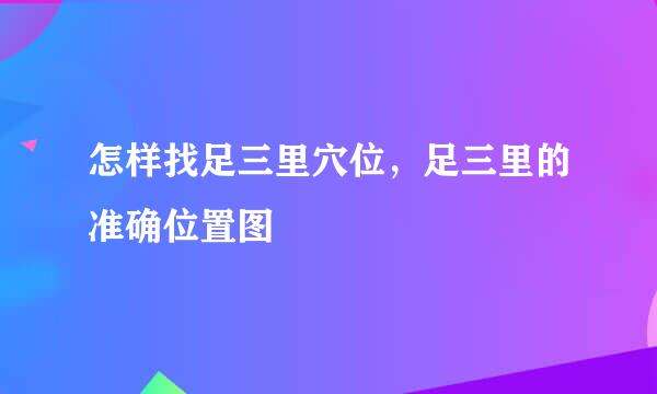 怎样找足三里穴位，足三里的准确位置图