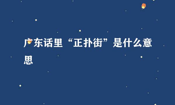 广东话里“正扑街”是什么意思