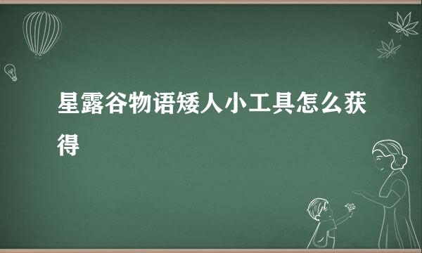 星露谷物语矮人小工具怎么获得
