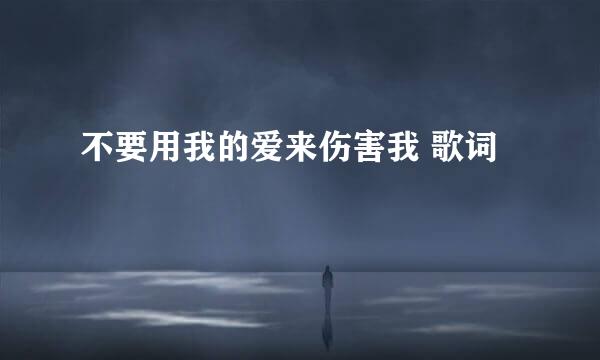 不要用我的爱来伤害我 歌词