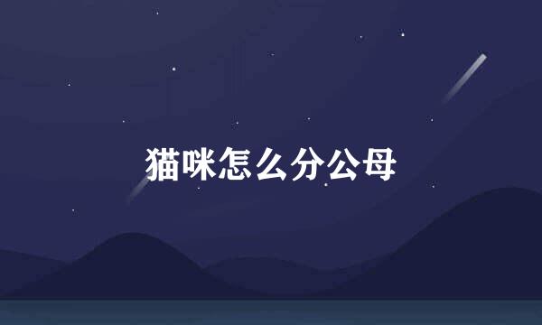 猫咪怎么分公母