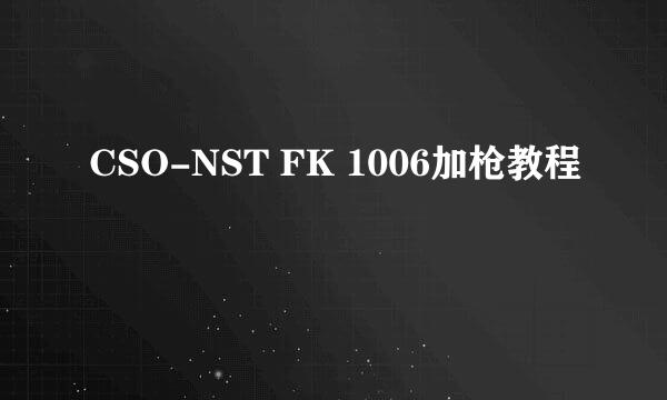 CSO-NST FK 1006加枪教程