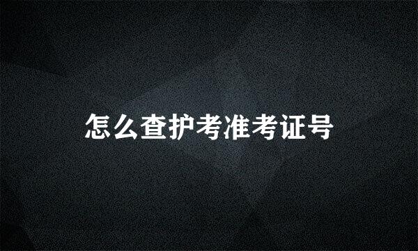 怎么查护考准考证号