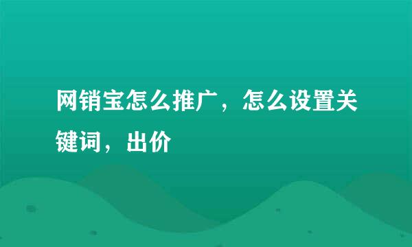 网销宝怎么推广，怎么设置关键词，出价