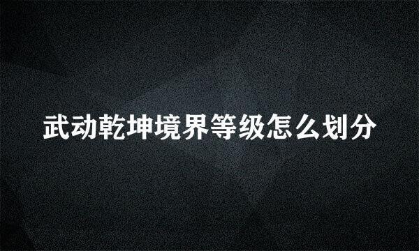 武动乾坤境界等级怎么划分