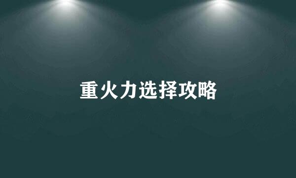 重火力选择攻略