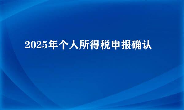 2025年个人所得税申报确认