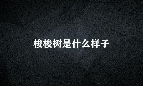 梭梭树是什么样子