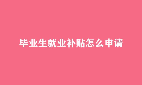 毕业生就业补贴怎么申请