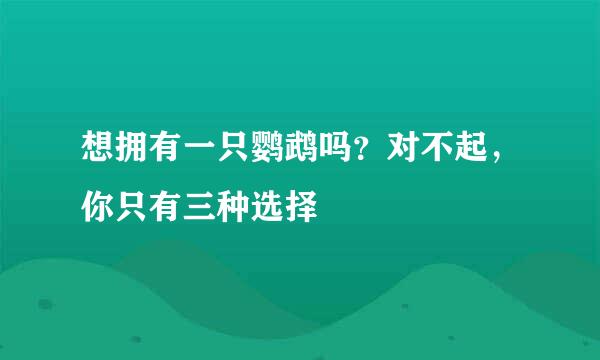 想拥有一只鹦鹉吗？对不起，你只有三种选择