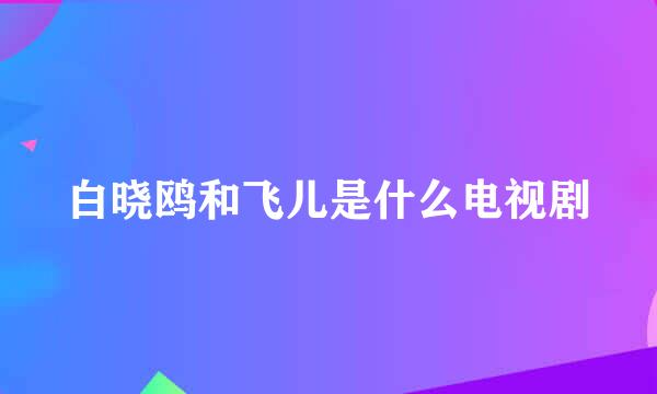 白晓鸥和飞儿是什么电视剧