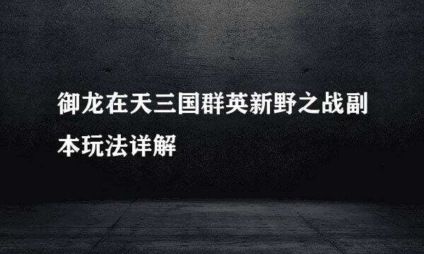 御龙在天三国群英新野之战副本玩法详解