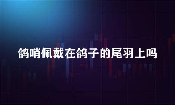 鸽哨佩戴在鸽子的尾羽上吗