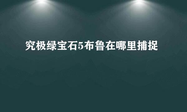 究极绿宝石5布鲁在哪里捕捉