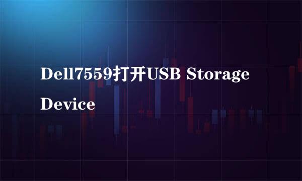 Dell7559打开USB Storage Device