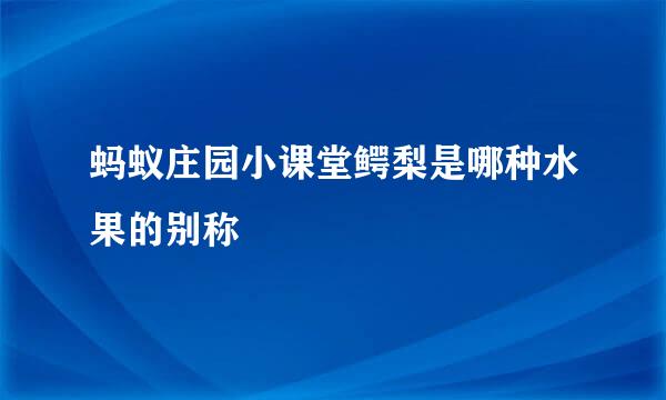 蚂蚁庄园小课堂鳄梨是哪种水果的别称