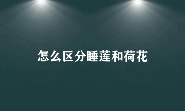 怎么区分睡莲和荷花