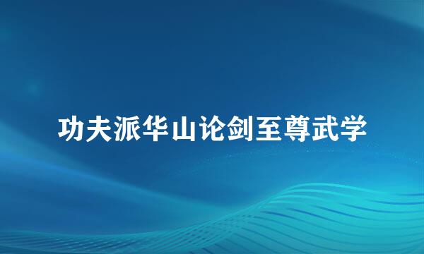 功夫派华山论剑至尊武学