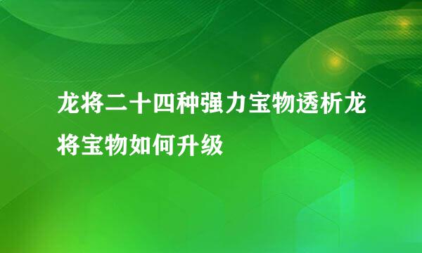 龙将二十四种强力宝物透析龙将宝物如何升级