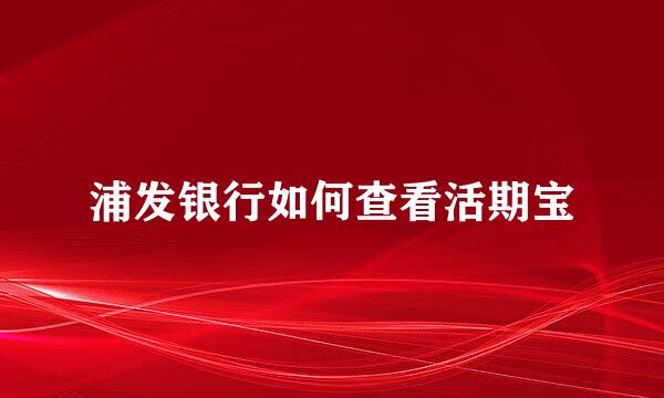浦发银行如何查看活期宝