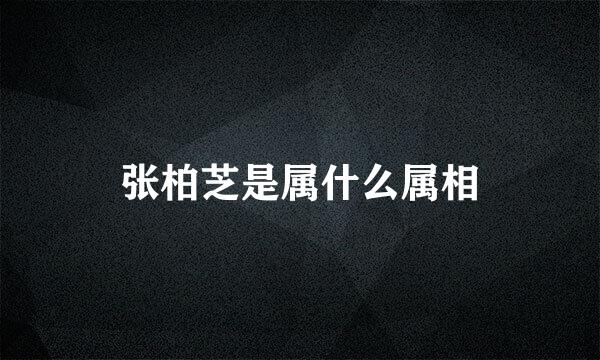 张柏芝是属什么属相
