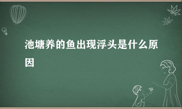 池塘养的鱼出现浮头是什么原因