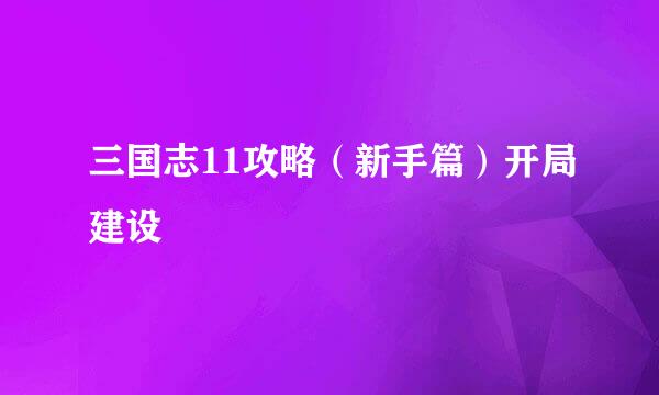 三国志11攻略（新手篇）开局建设
