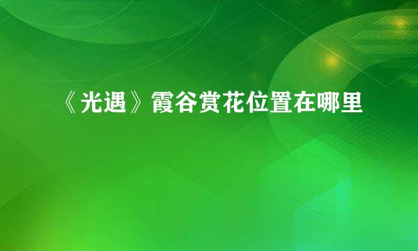 《光遇》霞谷赏花位置在哪里